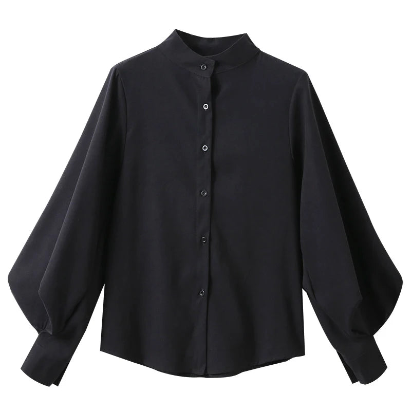 Big Lantern Sleeve Blouse Women